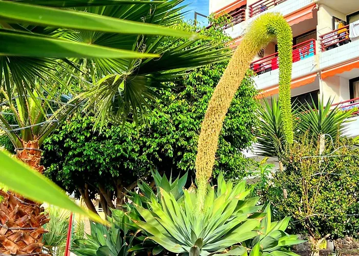 Lejlighed Paulmarie Olympia