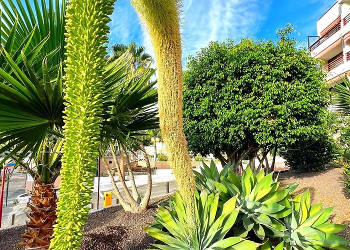 Paulmarie Olympia דירה פלאייה דה לאס אמריקס